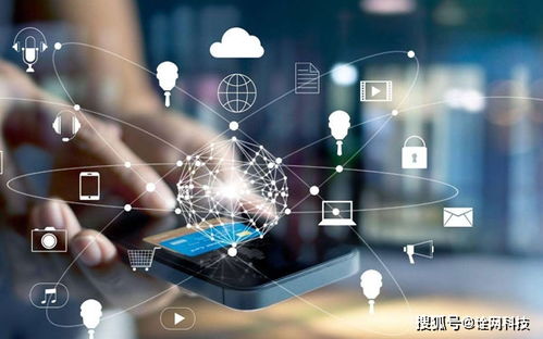 杭州詮網(wǎng)科技分析 泛解析對(duì)SEO優(yōu)化的利與弊